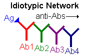 Receptor Cross-Linking