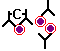 Antibodies plus Microorganisms plus Complement